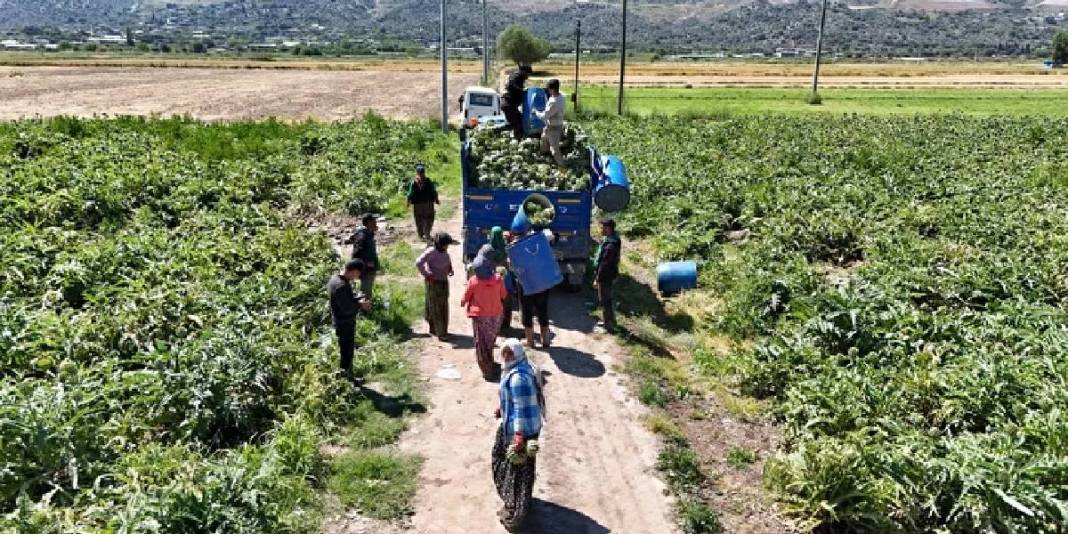 Sarraf altını onlar bıçağı işliyor! Yeşil elmas mesaisinin getirisi asgari ücreti 4’e katlıyor 2